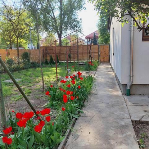 Ujszeged Apartman Buitenkant foto