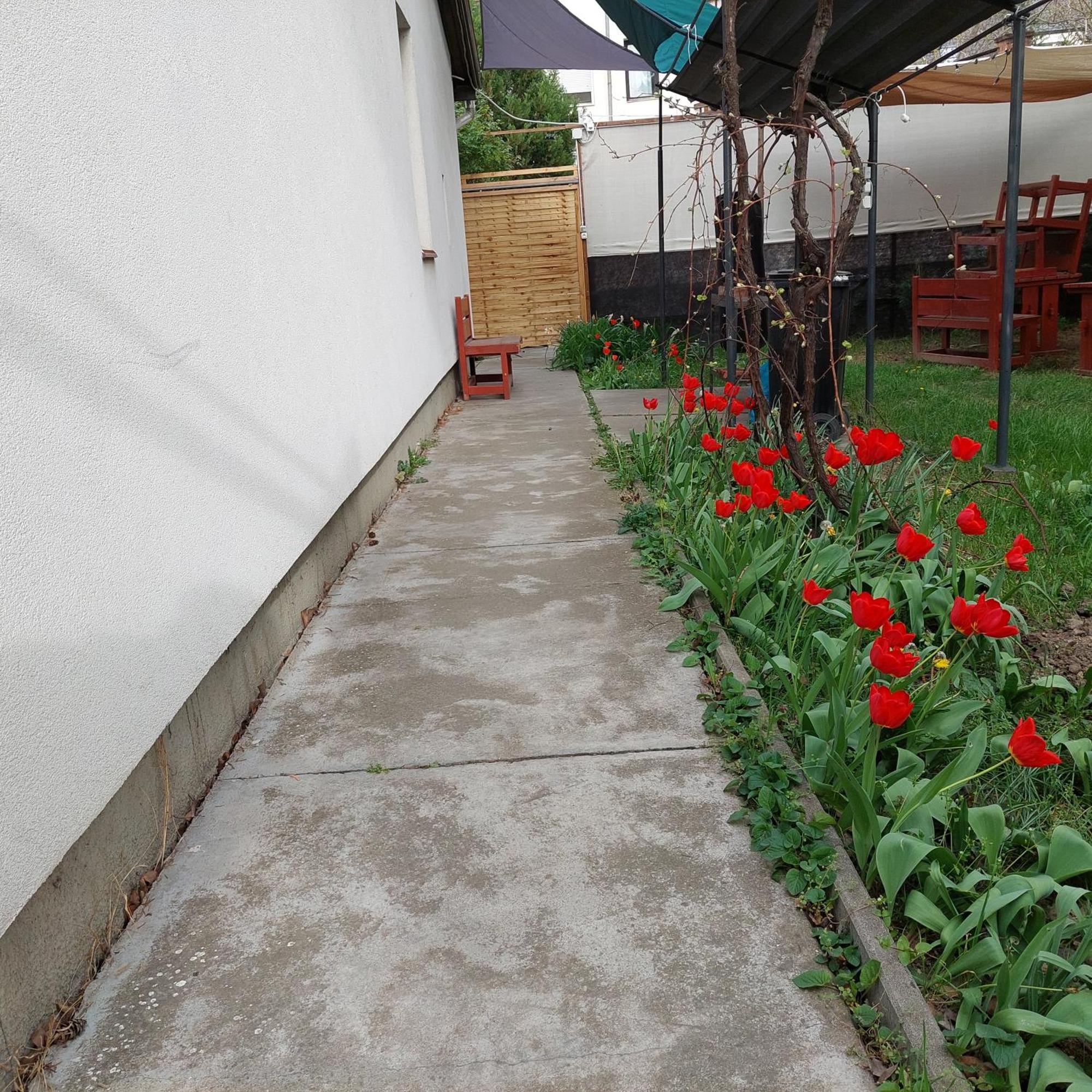 Ujszeged Apartman Buitenkant foto