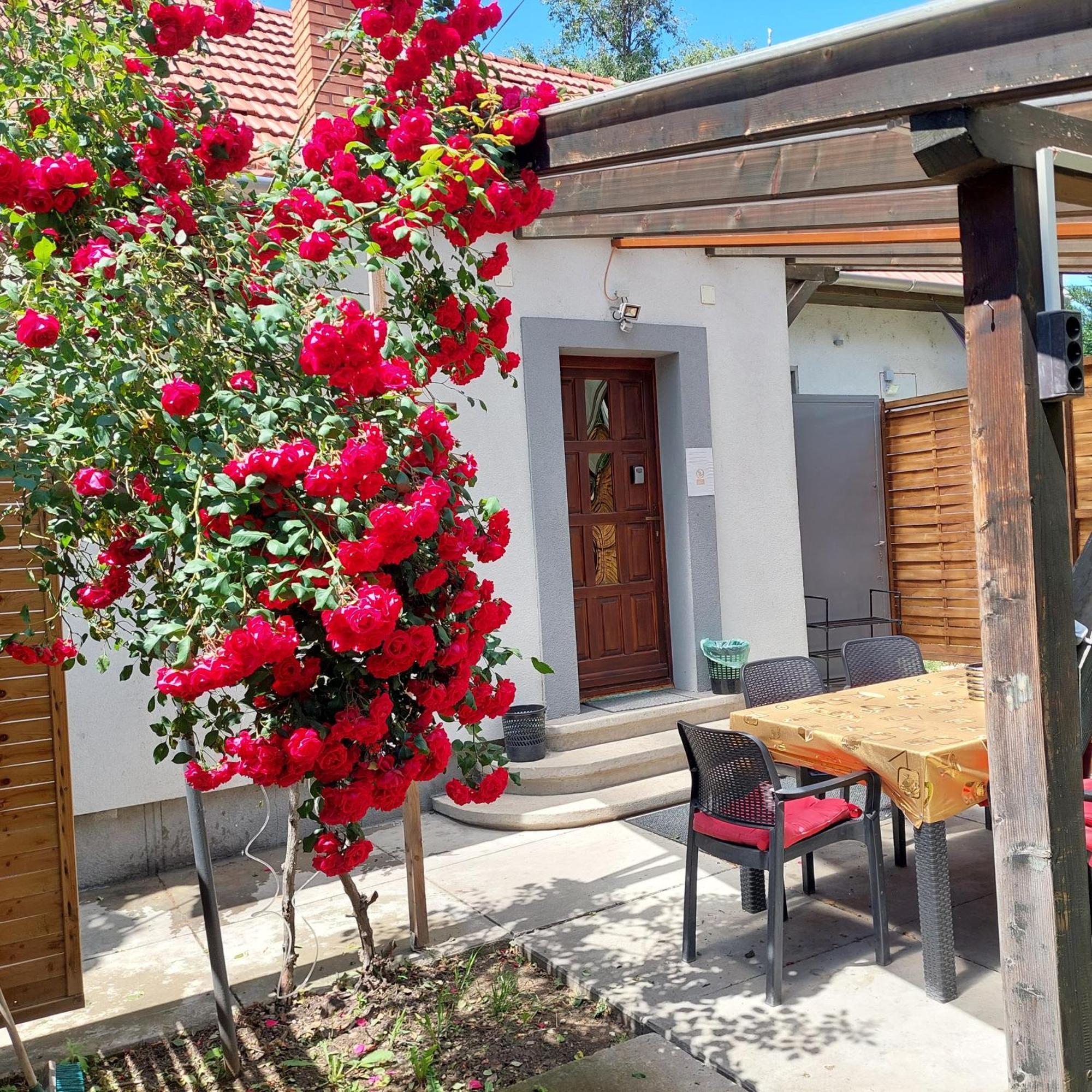 Ujszeged Apartman Buitenkant foto